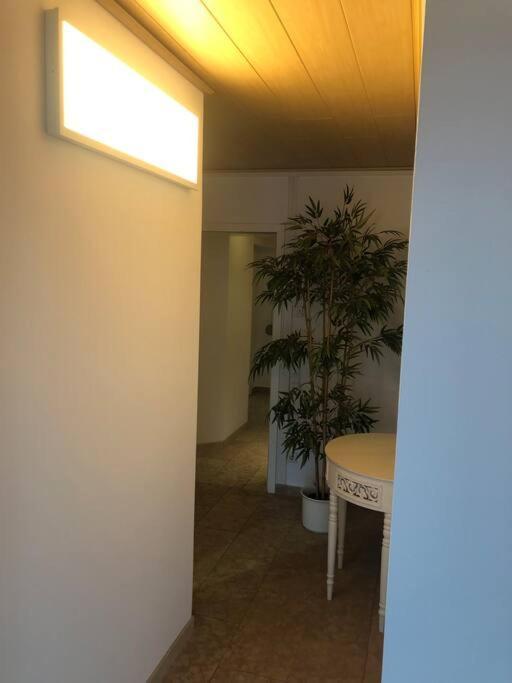 Haus Jaeger Ruheoase Im Gruenen Apartment